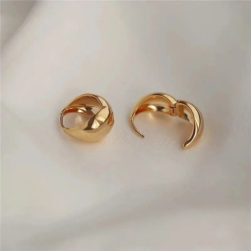 Chic Stainless Hoop Earrings