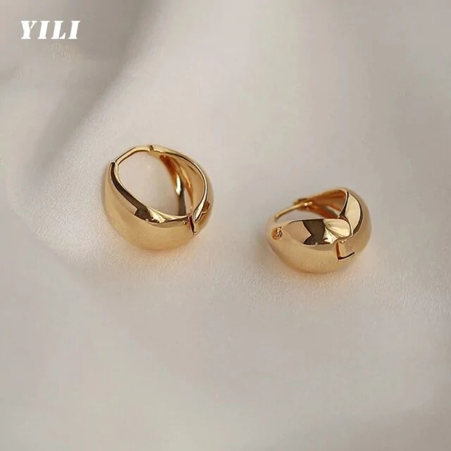 Chic Stainless Hoop Earrings