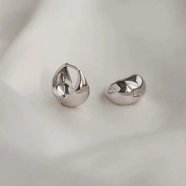 Chic Stainless Hoop Earrings