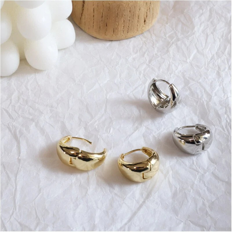 Chic Stainless Hoop Earrings